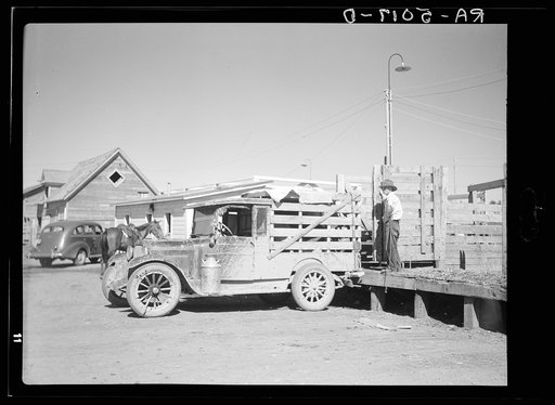 Trucks like these bring the last remnants of the small ranchers' herds to the stockyards. Billings, Montana