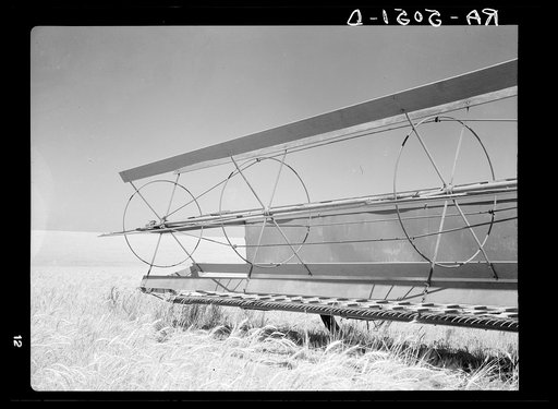 The fertile wheat fields near Ritzville, Washington