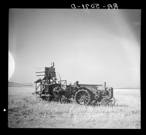 John Frederick of Grant County, North Dakota, may get twenty bushels off his thirty-eight acre field to feed to the chickens