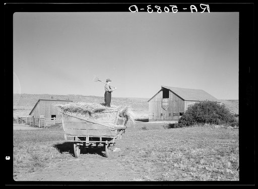 Barnyard scene of farm near Bickleton, Washington