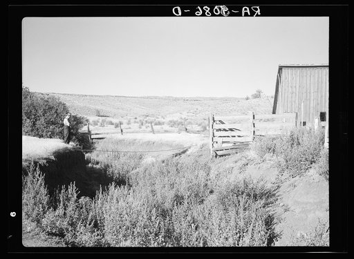 Erosion on farm near Bickleton, Washington