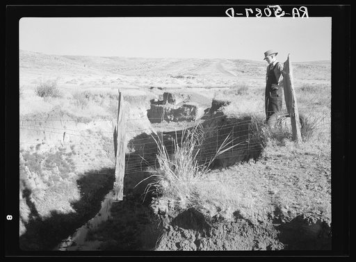 Gully on farm near Bickleton, Washington. (Note how ground under fence post has been washed away)