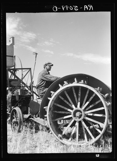 John Frederick of Grant County, North Dakota, expects to get about twenty bushels of wheat off his forty acre field