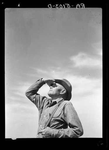 Mike Sullinger, who has a farm near Carson, North Dakota, looking for rain