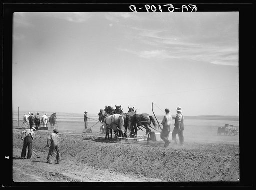 Drought relief crew building a road near Saint Anthony, North Dakota