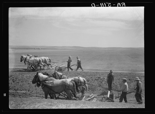 Drought relief crew. Saint Anthony, North Dakota