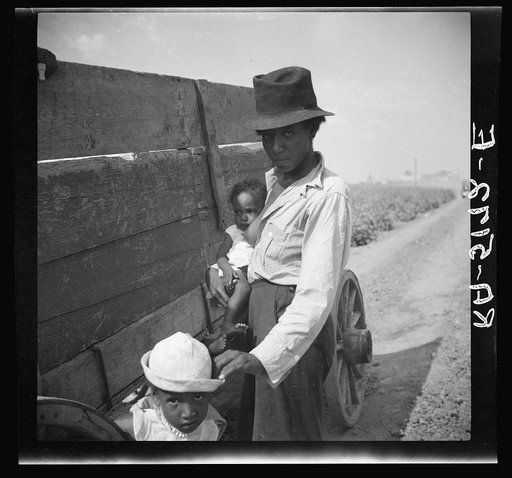 Cotton picker. Kaufman County, Texas