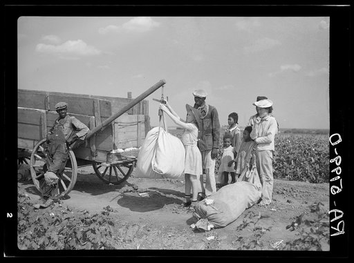 Plantation owner's daughter checks weight of cotton. Kaufman County, Texas