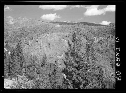 Cut-over land in Rocky Mountain National Park, Colorado