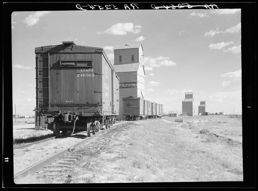 Grain elevators. Dumas, Texas