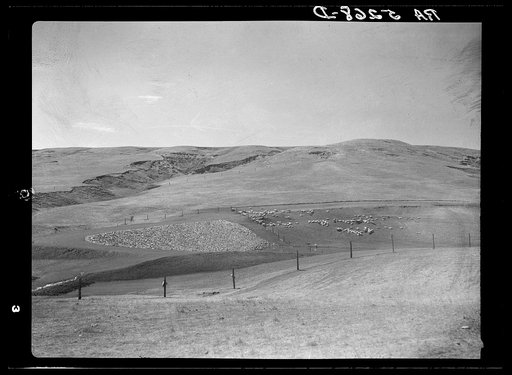 Resettlement stock water dam. Johnson County, Wyoming