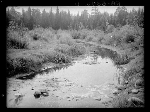 Source of the Mississippi River. Lake Itasca, Minnesota