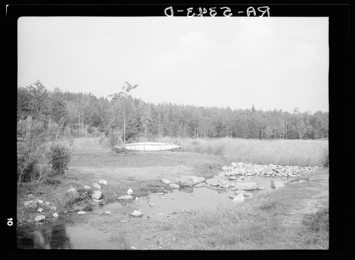 Source of the Mississippi River. Lake Itasca, Minnesota