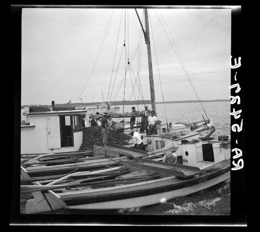 The buy boat of the oyster fleet. Rock Point, Maryland