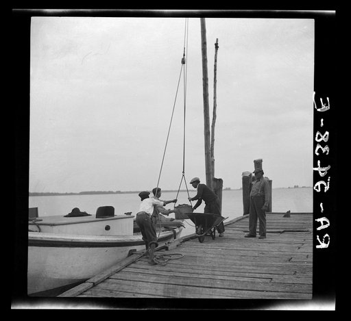 At the wharf oystermen get forty cents a bushel. Rock Point, Maryland