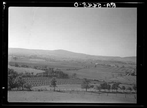 Good farmland. Bedford County, Pennsylvania