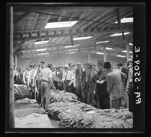 Tobacco warehouses. Durham, North Carolina
