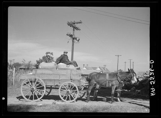 Sharecropper and son waiting their turn at the cotton gin. Smithfield, North Carolina
