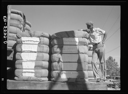 Cotton gin worker. Smithfield, North Carolina