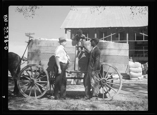 Rehabilitation supervisor discusses the cotton crop with one of his clients. Smithfield, North Carolina