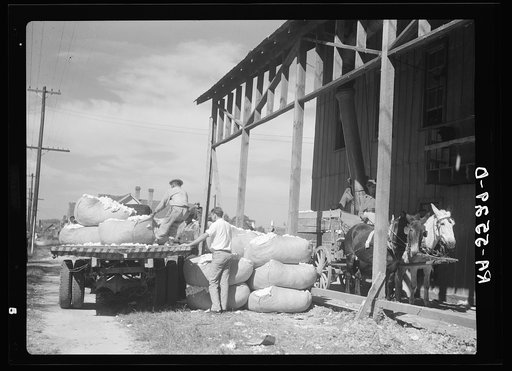 Cotton gin. Smithfield, North Carolina