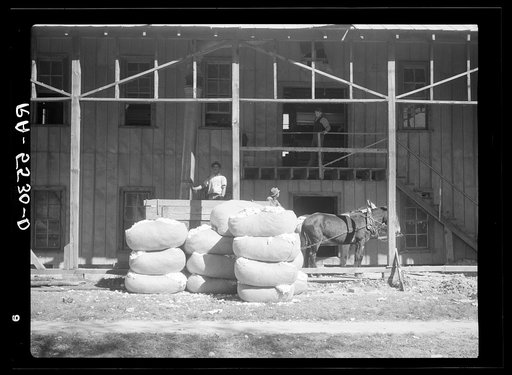 Cotton gin. Smithfield, North Carolina