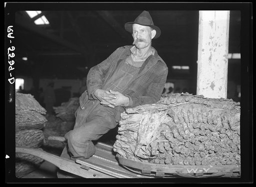 Rehabilitation client with his tobacco crop. Oxford, North Carolina