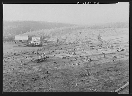 Stump fields. Garrett County, Maryland