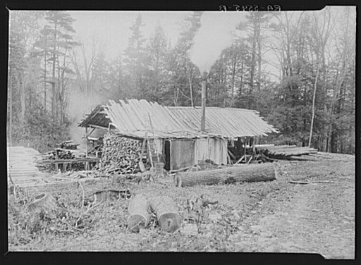 Sawmills and logging companies threaten the remaining supply of timber in Garrett County, Maryland