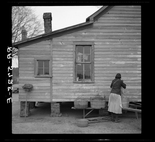 Scene on tract number 267 occupied by tenant farmer Bert Thompson. Wayne County, North Carolina