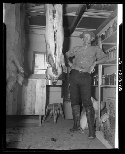 C.D. Grant in storehouse on his farm at Penderlea Homesteads. North Carolina