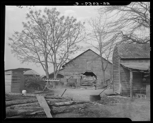 Farm. Tract number 267. Wayne County, North Carolina