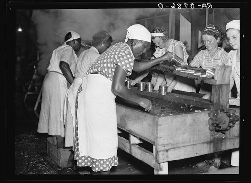 White and Negro women employed at the canning plant in Dania, Florida. Many of the women are migrants and live in nearby camps