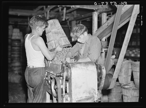 Chopping beans in the canning plant at Dania, Florida. Youthful workers are allowed to use dangerous machinery without safeguards
