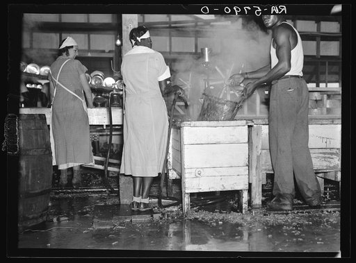 Interior of a vegetable canning plant employing migratory workers near Dania, Florida. The filth-infested water on the floor often affects the health of the employees