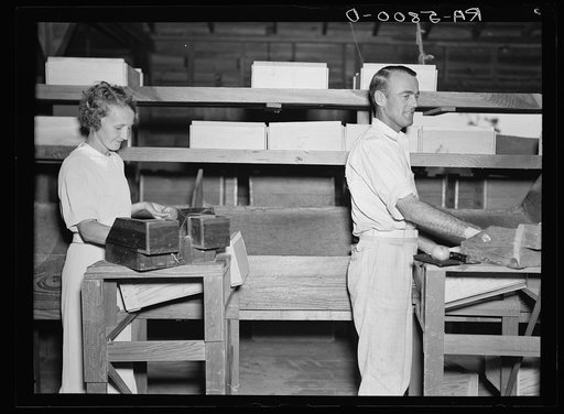 Two "fruit tramps" packing tomatoes. Deerfield, Florida