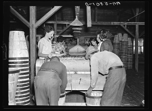 Scene in vegetable packing plant at Deerfield, Florida. Most of the workers are migrants