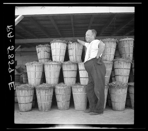 Foreman of canning plant. Indiana farmer who originally came to Florida for a vacation. Dania, Florida
