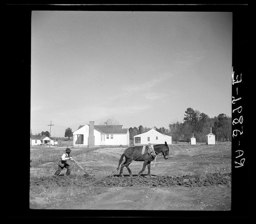 Plowing a field at Palmerdale, Alabama. New homestead in the background
