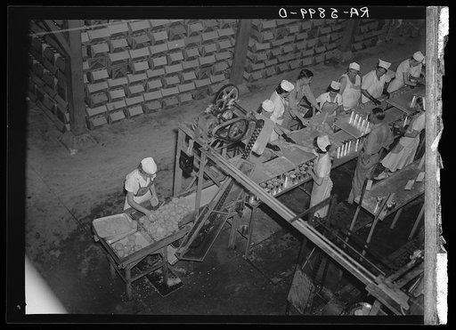 Grapefruit canning plant. Winterhaven, Florida. Some of these girls are migratory workers