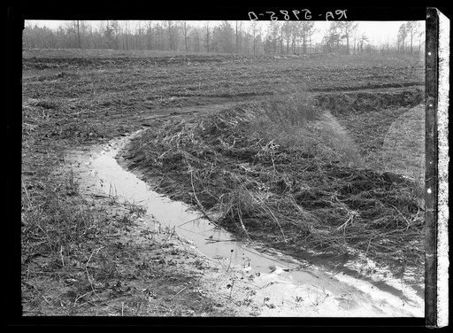 Terraced fields at Greenwood Homesteads to prevent soil erosion. Alabama