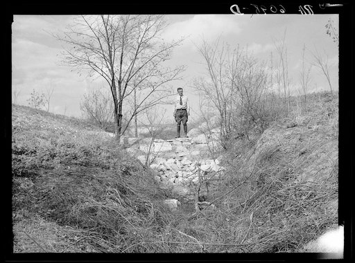 Erosion control, showing check dam and brush at the Pere Marquette recreational project, near Grafton, Illinois