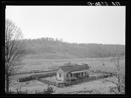 Cut-over land plowed under for crops near Poplar Bluff. Butler County, Missouri