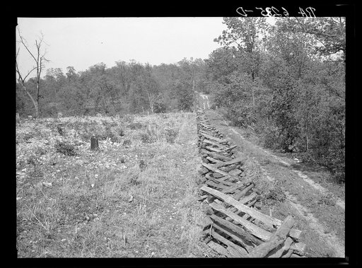 Rail fence and cut-over country. Meramec Forest area. Salem, Missouri