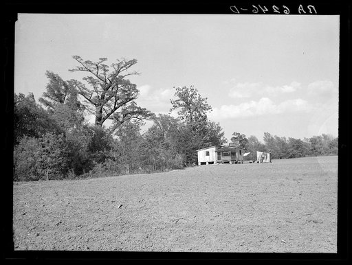 Typical sharecropper's shack with crop entirely surrounding house. Mississippi County, Missouri