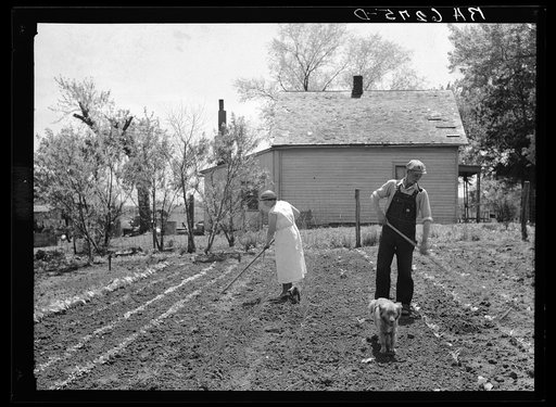 Off to a new start. Marion Hills and wife, rehabilitation clients, in garden of their farm. Center County, Iowa