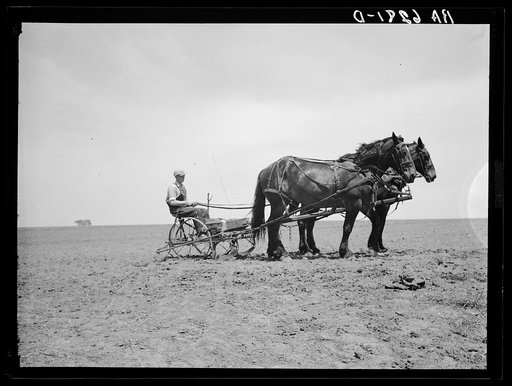 Marion Hills, young Iowan with horses purchased with rehabilitation loan. Center County, Iowa