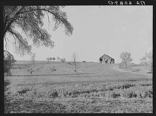 An Iowa farm scene. Fifteen miles north of Des Moines, Iowa