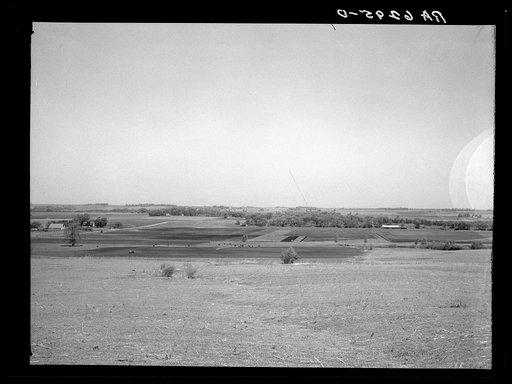Looking north toward Granger, Iowa, from the entering road, showing fertile Iowa farmland