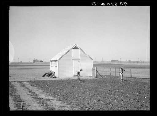 Granger homesteader working in garden. Iowa